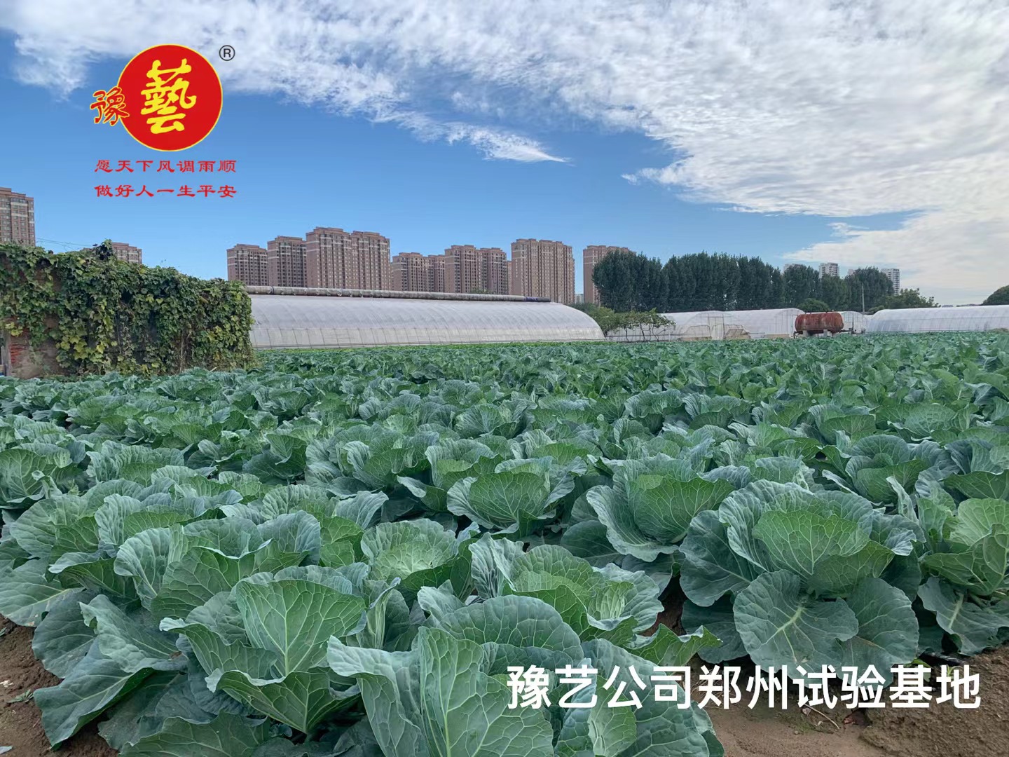 河南農大鄭州科教園區